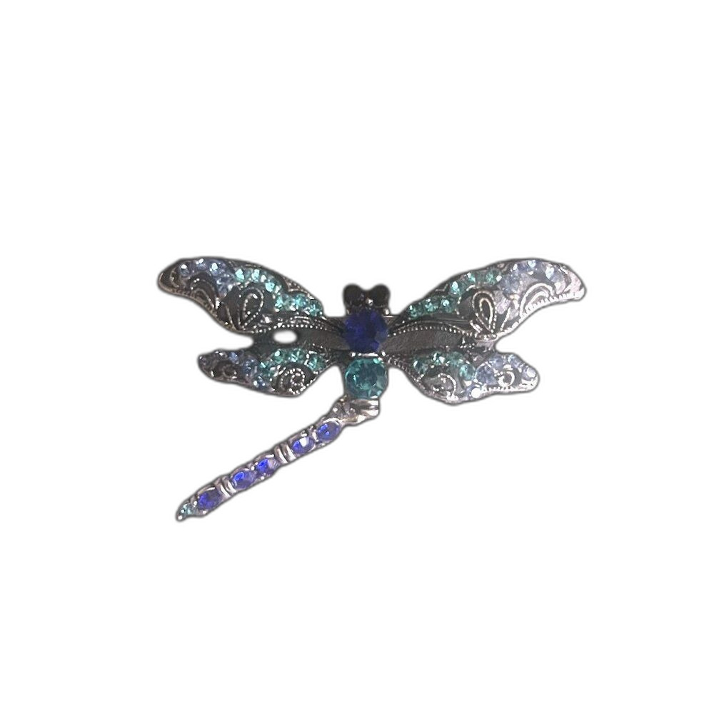 Beautiful Dragon Fly Pin